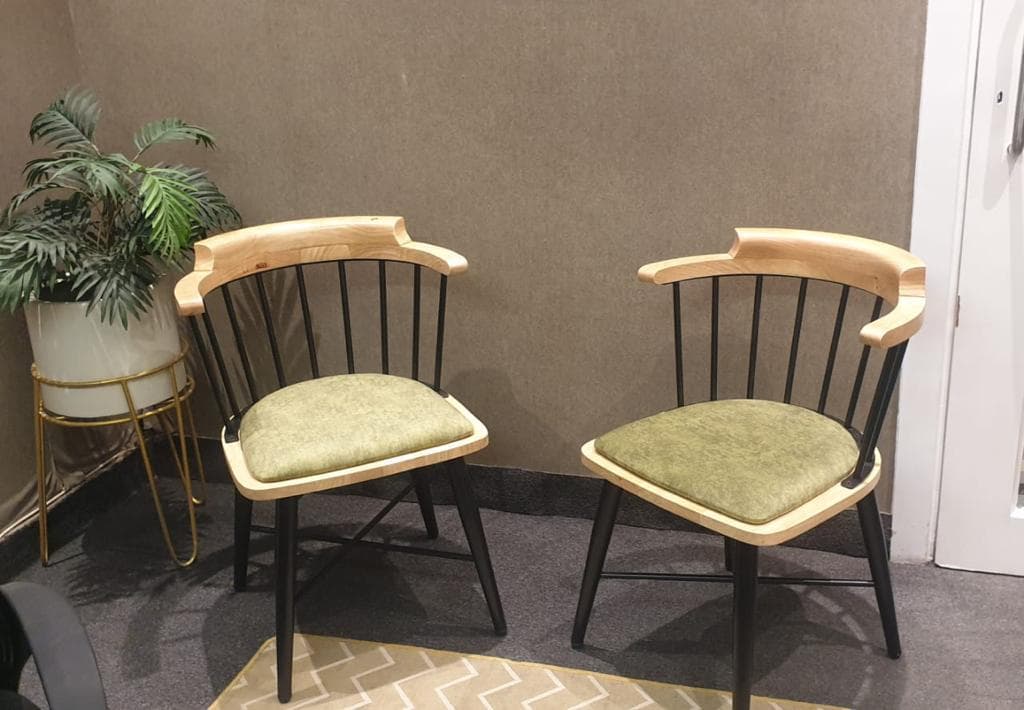 Two wooden accent chairs with olive green cushions and black spindled backs placed beside a potted plant in a cozy corner.