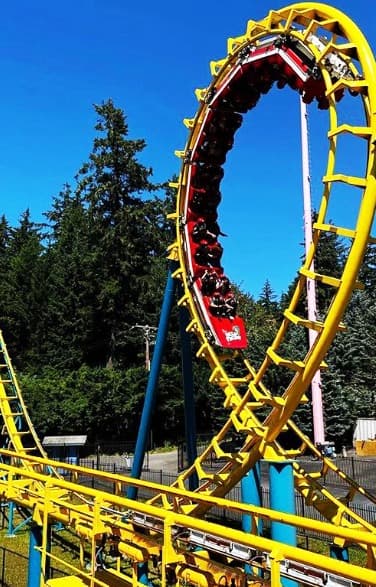 Thrilling yellow roller coaster with a vertical loop ride against a clear blue sky and forest backdrop.